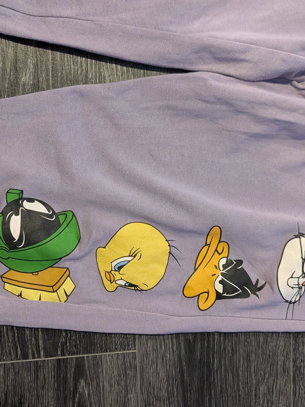Warner Bros. Lavender Womens Joggers with Looney Tunes Character Row